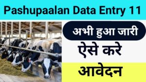 Pashupalan Data Entry 11 Recruitment 2024: Apply Now पशुपालन विभाग ने डाटा एंट्री